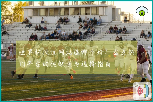 世界杯投注网站选哪个好?盘点热门平台的优缺点与选择指南