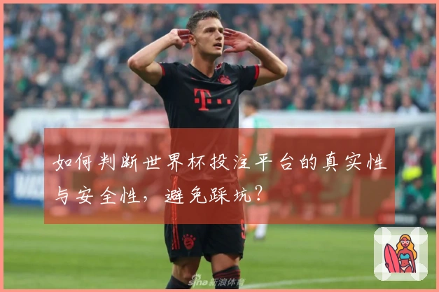 如何判断世界杯投注平台的真实性与安全性，避免踩坑？