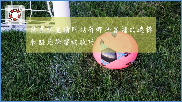 世界杯竞猜网站有哪些靠谱的选择和避免踩雷的技巧