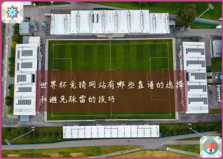 世界杯竞猜网站有哪些靠谱的选择和避免踩雷的技巧
