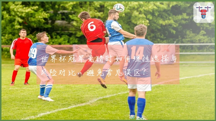 世界杯冠军竞猜时如何理性选择与风险对比，避免常见误区？